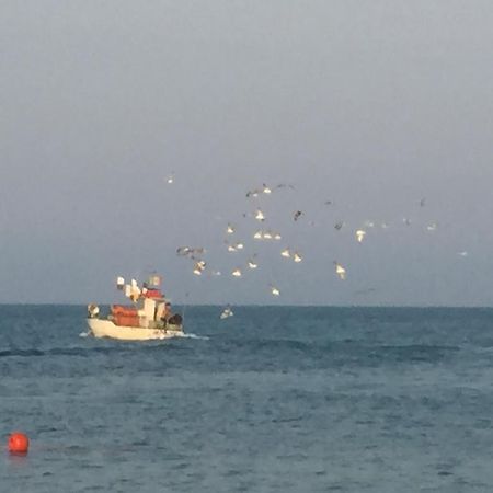 Mansarda Mare Διαμέρισμα Altidona Εξωτερικό φωτογραφία
